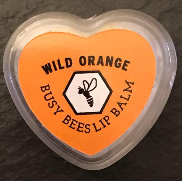 Wild Orange Lip Balms, Honey, Natural Beeswax Product