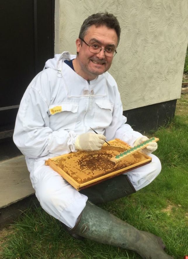 Stour Valley Apiaries