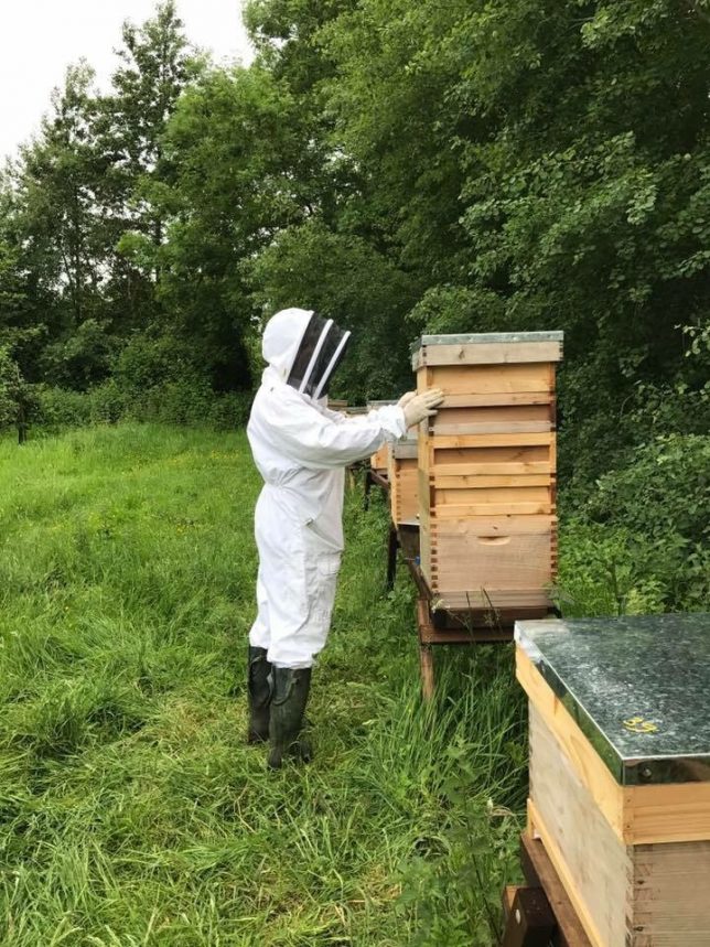Stour Valley Apiaries